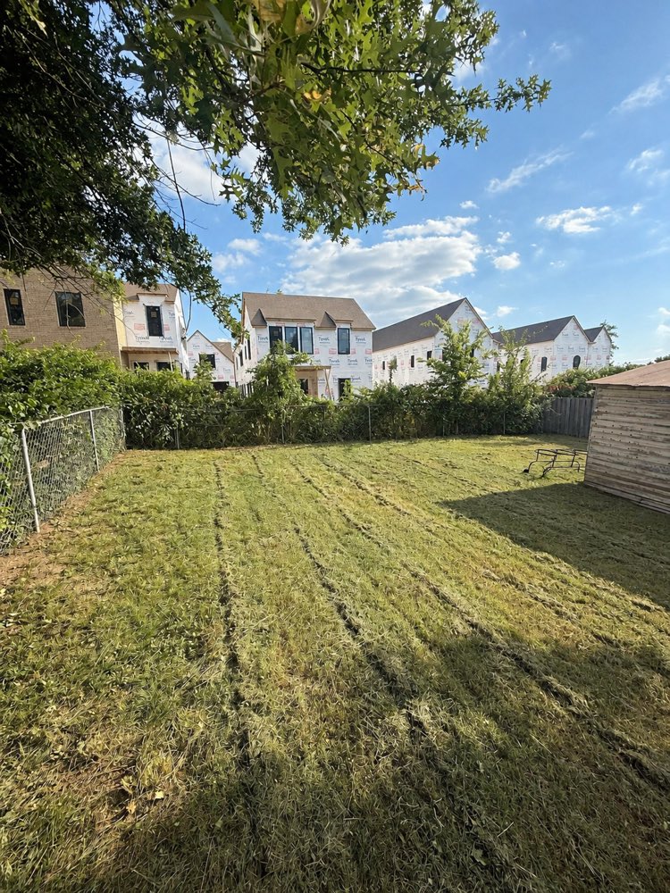 The same lot cut flat and cleared, the houses behind it visible again.
