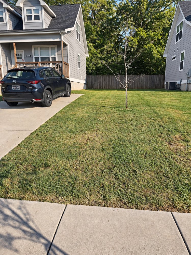 The same lawn cut, with a straight edge along the sidewalk and the drive.