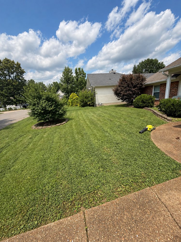 The same lawn an hour later, cut with the mow lines showing.