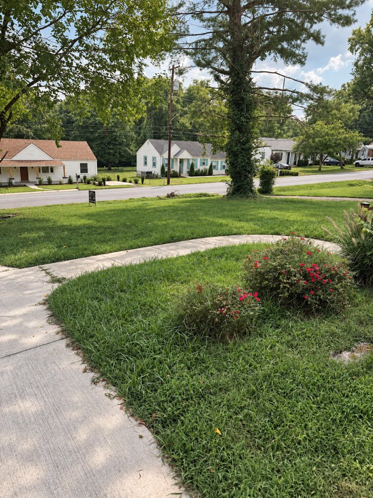 A curved front walk with the lawn grown out over both edges of the concrete.