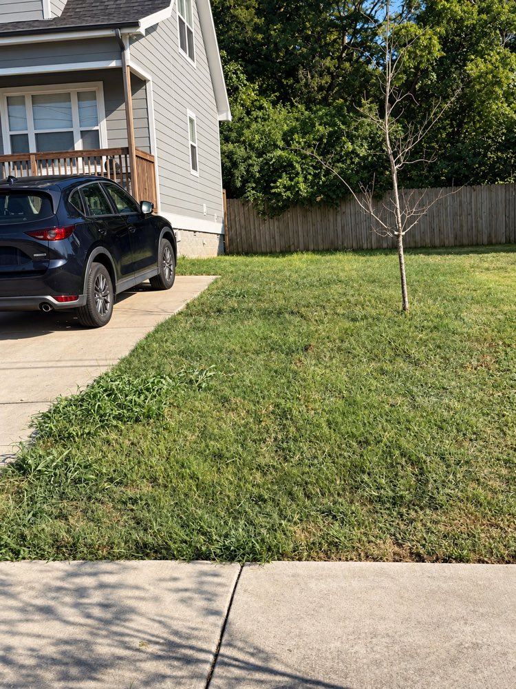 A new-build front lawn running shaggy over the sidewalk.